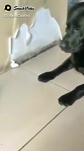 2.7K views · 27 reactions | Jolnê Praxedes on Reels | Facebook