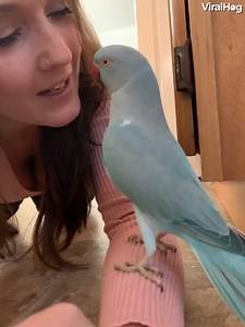 3.5K views · 300 reactions | Good morning  | Ocean of Music | Facebook