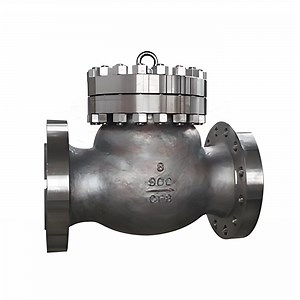 [Hot Item] ASME B16.34 Swing Check Valve with Copper Alloy and Cast Iron /Wcb/Wcc/CF8
