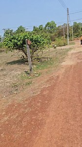 2.3K views · 74 reactions | ບ້ານ ສະພັງຄະນົງ(ຫຼັກ16) ເມືອງໄຊທານີ ນະຄອນຫຼວງວຽງຈັນ ✅️ຂະໜາດ20×20ລາຄາ310ລ້ານ 02078964629 | Luj Kab Universe | Facebook