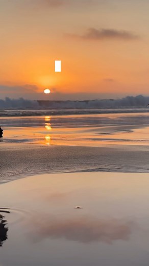 241 reactions · 22 shares | Is there a reason for the struggle? What do you think? #pgtips | Paul Greene | Facebook