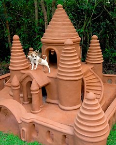 1.5M views · 27K reactions | Building the perfect house for these cute puppies! | Bloom | Facebook