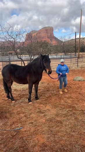 Giving to pressure. | Scout's Trail
