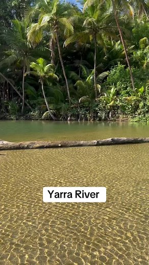 #trinigirls🇹🇹♥️💯 #trini #trinidad #trinidadandtobago #nature #explore #2024 #love #chasinghappiness #fun #river