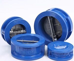 [Hot Item] Long-Life Sealing Dual Plate Check Valve