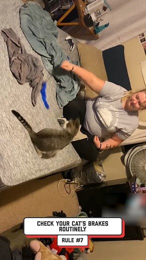 3 Cats Who Don't Follow The Rules 🐈😹🧶 | FailArmy