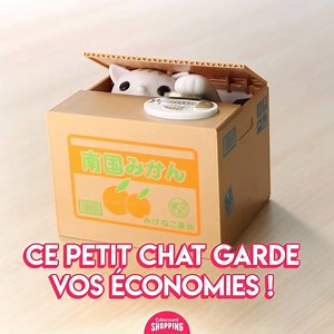 Les chats sont des voleurs ! 🐱 http://bit.ly/2MHjXZk | Cdiscount Shopping
