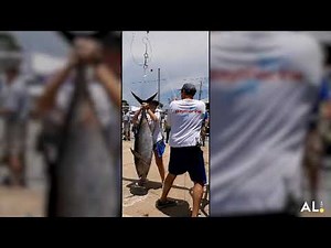 Alabama Deep Sea Fishing Rodeo sees 118-pound tuna