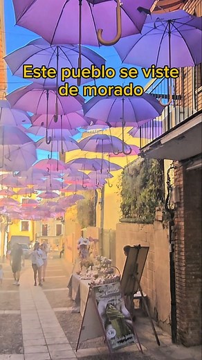 25K views · 97 reactions | ¿Un pueblo que se viste de morado? ¡Sí sí!...