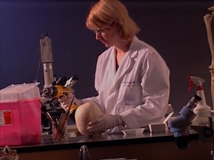 1.1K views · 18 reactions | Forensic Files Skin of Her Teeth | True Crime Files | Facebook