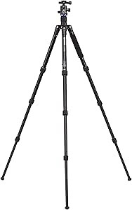 Benro Travel Angel 2 Series Aluminum Tripod w/ B1 Ball Head (FTA28AB1)