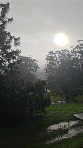 JessMiller5000 on TikTok