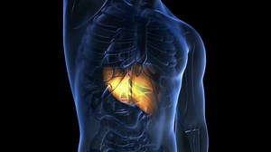 How To Reverse Insulin Resistance | Dr. Berg | Islamic Teachings