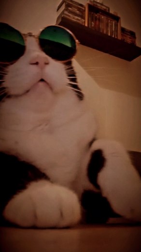 Nina Dancing Queen | Princess of funk 🤍🕶🖤 ↪For a great Saturday Night my Friends Collaboration sound @dj_karamelo 🇫🇷👏 Nina's new dign at Lilou and Nina store... | Instagram