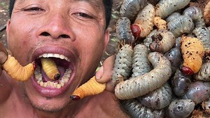 1.1K views · 26 reactions | Primitive Culture: Amazing Man Find and Cooking Coconut Worms SOurce&Credit: #Primitive Culture Subscribe Primitive Culture on youtube for new video | Animol Video | Facebook