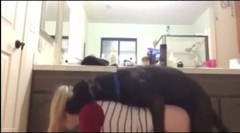 Dog Sex with Blonde Girl