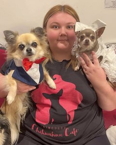 Edinburgh Chihuahua Cafe on Reels