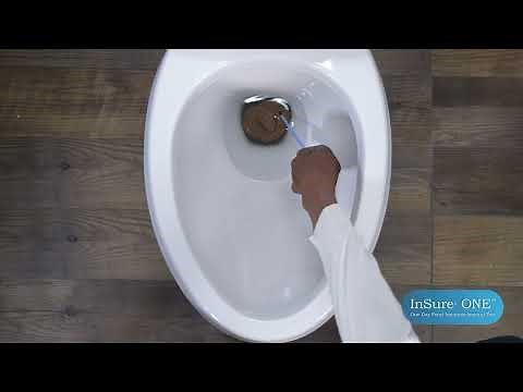 Video de Instrucciones y Recolección de muestras para InSure ONE