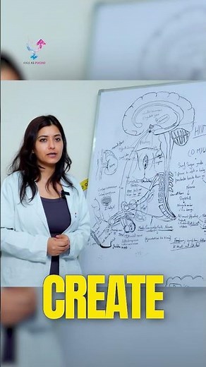 What is the link between brain or sexual Performance ?
