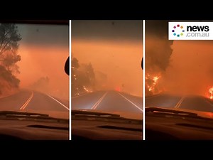 Animals evacuated from Northern California's Monument Fire