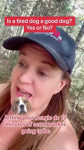 34K views · 486 reactions | “Your Dog just needs more exercise!” Is it true: a tired dog is a good dog? …perhaps until they are not tired anymore. Find out how this myth, maybe causing confusion in your relationship. | Beyond Obedience | Facebook