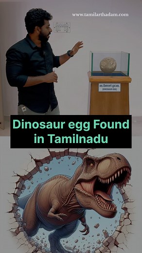 2.3K views · 52 reactions | Dinosaur 練 egg 﫨. Location- Ariyalur Fossil museum Tamilnadu . . #tamilarthadam #ariyalur #dinosaur #fossil | Tamilar Thadam | Facebook