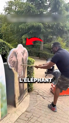 The WEIRDEST challenge in the zoo!! 🐘🔥