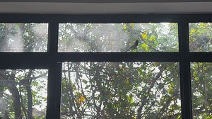 10K views · 585 reactions | Dangal jatte time mile alien Opne link and follw https://instagram.com/bike_and_fitness_lover?igshid=MzRlODBiNWFlZA== | Hamirpur Brothers | Facebook