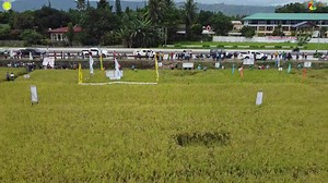 Farmers' Field Day 2024 | LGU Surallah