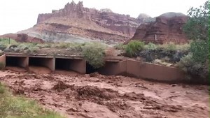 Capitol Reef flooding in Southern Utah. Many areas of Utah national parks are closed due to heavy rain showers. Be sure and check on conditions before heading out on hikes and other adventures. (Video: L. Rome) | KSL NewsRadio