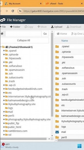 How to Navigate to File Manager Website Files in Your Host Account - HostGator, Bluehost, Hostinger