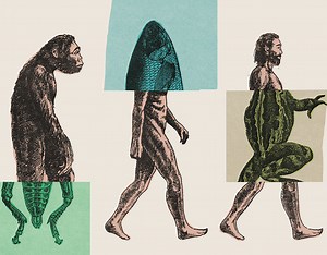 Charles Darwin and The Origin of the Species - Pic Box
