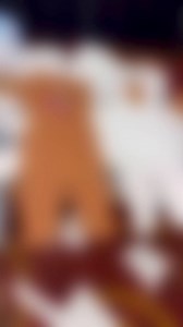 We Bare Bears Entrance and Stage Decorations | Cebu Balloons