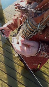 3.6K views · 67 reactions | Triton shell Esraj | RootFlute | Facebook