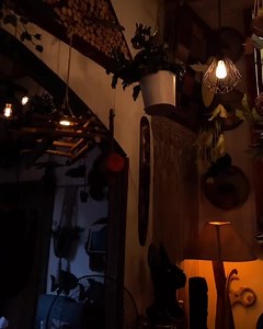 1.8K views · 60 reactions | Vibes ✨癩 | Tree Trunk | Facebook