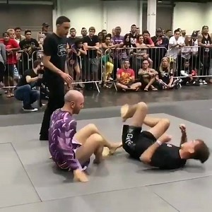 5.9K views · 20 reactions | Please, take my leg  | Rebel Monkeys | Facebook