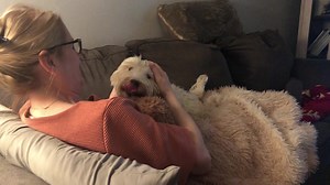 56K views · 5.2K reactions | This is my beautiful Pickles. I’m so...