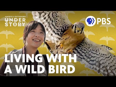 What’s It Like to be a Falconer And Why It’s Needed | America Outdoors: Understory | PBS