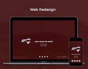 Ron Matusalem Web Redesign