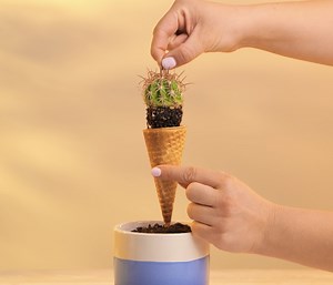 74K views · 577 reactions | Great Ideas You Can Try While Growing Your Plants | 5-Minute Crafts Men | Facebook