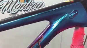 Topzeker 👍👍👍👍 | Color-Monkey