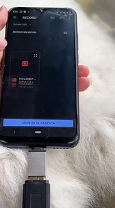 👂Vous voulez savoir ce que les gens disent quand vous n'êtes pas là ? 🤩Cette clé USB n'est pas ordinaire. Elle enregistre tout, discrètement. ✅ Pas de lumière . Pas de bruit . Aucun signal ✅ Jusqu’à 30h d’enregistrement. 100% invisibles 🫥 Posez-la, partez... et récupérez tout ce qui s'est dit. Branchez-la à votre PC ou Téléphone pour écouter les enregistrements. 😎 ✅Livraison Gratuite. ✅Paiement à la Réception 💯 Qualité 100% Garantie ✅Satisfait ou Remboursé | Marketo