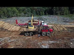 Loading Kenworth T659 8x4 off 895 forwarder