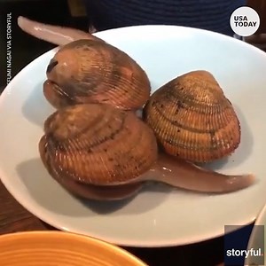 Dinner is served. | USA TODAY Video