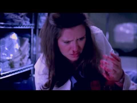 Grey's Anatomy Season 6 Finale - Nothing and Everything Red