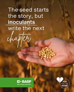 The seed may start the story – but inoculants write the next chapter. 🌱 When you inoculate, you’re doing more than just boosting nitrogen fixation – you’re investing in healthier soils and more resilient crops. With BASF inoculants, every seed is supported by a proven biological foundation that promotes root strength, consistent nodulation, and better yields season after season. Because sustainable farming begins underground. 👉 Learn more: https://www.agro.basf.co.za | BASF Agricultural Soluti