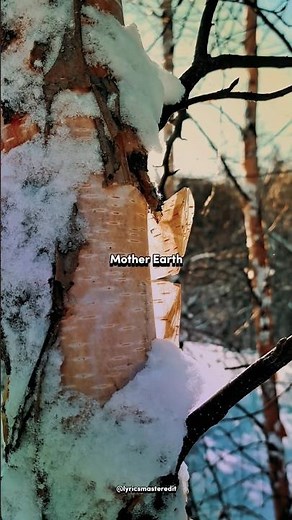 Tatiana Kurtukova - Matushka | Aesthetic Lyrics | English Translation