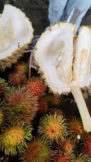 1.7K views · 63 reactions | Parang Fruit Festival lang #tukibasurallah #barangayLamian #travel | TRUEpang JAMES | Facebook