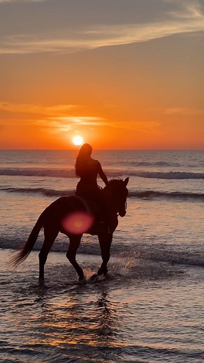 Essaouira morocco  on Instagram: "Sunset walk 殺  @essaouira_horseride  @imsswissale . . . . . . #essaouira #morocco #marrakech #maroc #horse #horses #instahorses #horsesofinstagram #pferd #cheval #paris #london #berlin #köln #dusseldorf #stuttgart #dortmund #geneve #lausanne #agadir #casablanca #marokko #oslo #malmö #dubai #abudhabi #nature #earthfocus"
