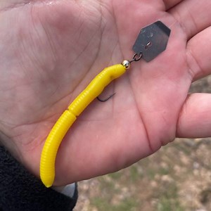 Ich dachte, ich hätte mit Libra Lures endlich einen Köder gefunden, der mal so richtig durch die Decke geht und dann das ... Libra Lures goes Chatterbait Kombiniere Fatty D´Worm oder Dying Worm mit unseren speziell auf Libra Lures abgestimmten Chatterbaits und fange noch mehr Forellen als Du es schon tust! Jetzt wo das Wasser langsam wärmer wird und Forellen aus Ihrem Winterschlaf erwachen und richtig verfressen sind, kommt die Zeit der auffälligen Köder. Chatterbaits stimulieren das Seitenlinie